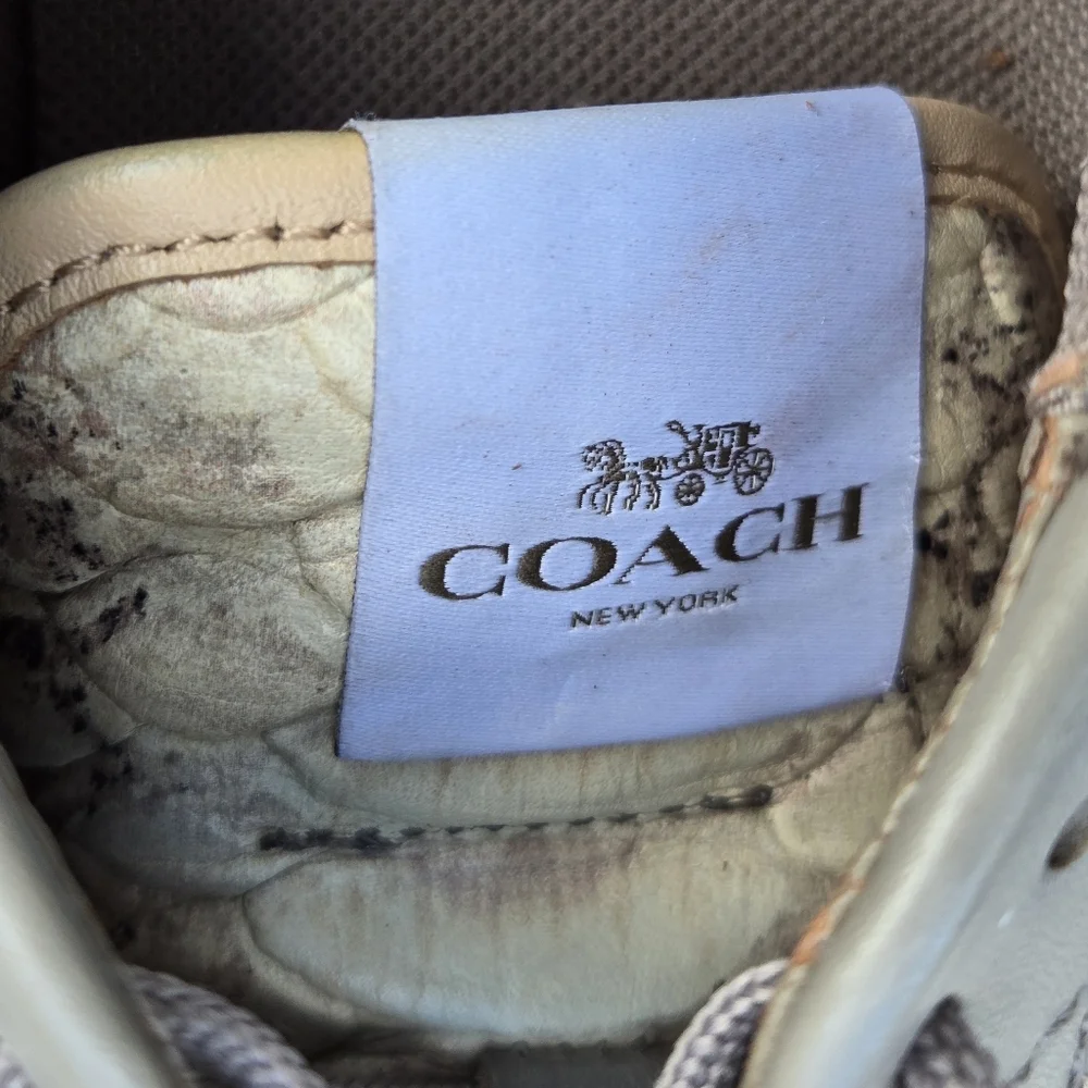 Coach Moonlight Anaconda/Nap Sz 9.5 Sneakers Nappa Leather Snake Emboss